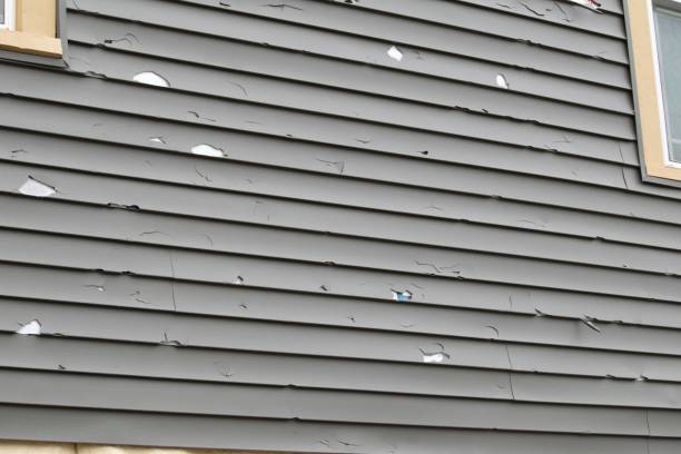 Best Steel Siding Installation  in Roaring Spring, PA